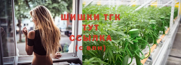 spice Верхний Тагил