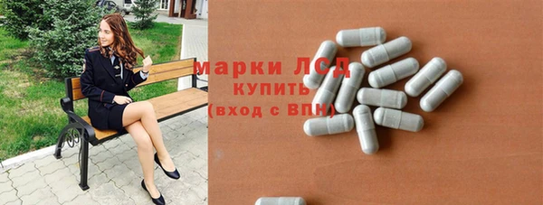 ГАЛЛЮЦИНОГЕННЫЕ ГРИБЫ Бородино