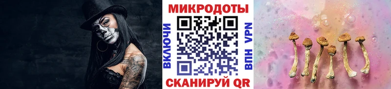 Псилоцибиновые грибы ЛСД купить наркотик Новохопёрск
